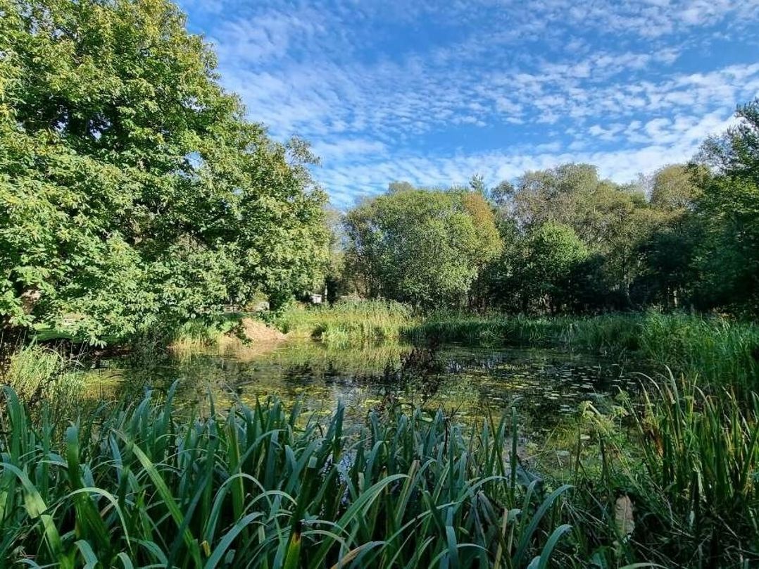 Kelling Heath Holiday Park - Holiday Accommodation 15438