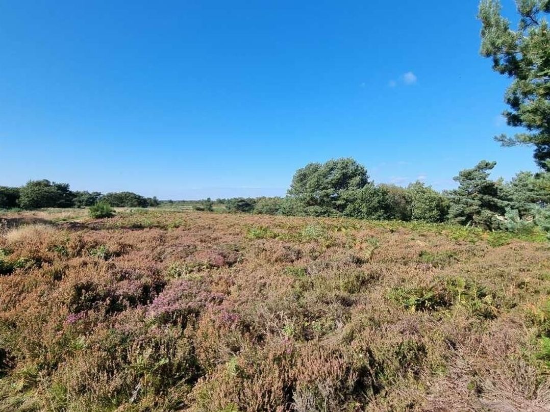 Kelling Heath Holiday Park - Holiday Accommodation 15438