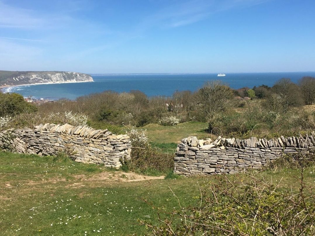 Swanage Bay View - Holiday Accommodation 15464