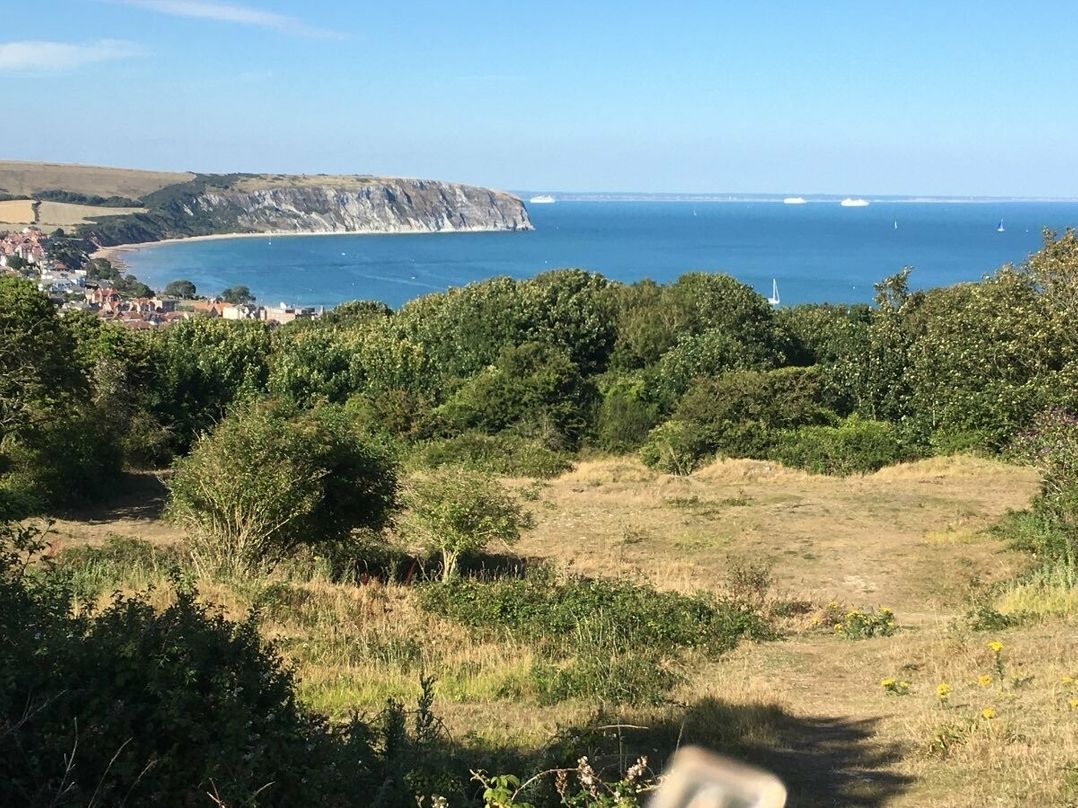 Swanage Bay View - Holiday Accommodation 15464