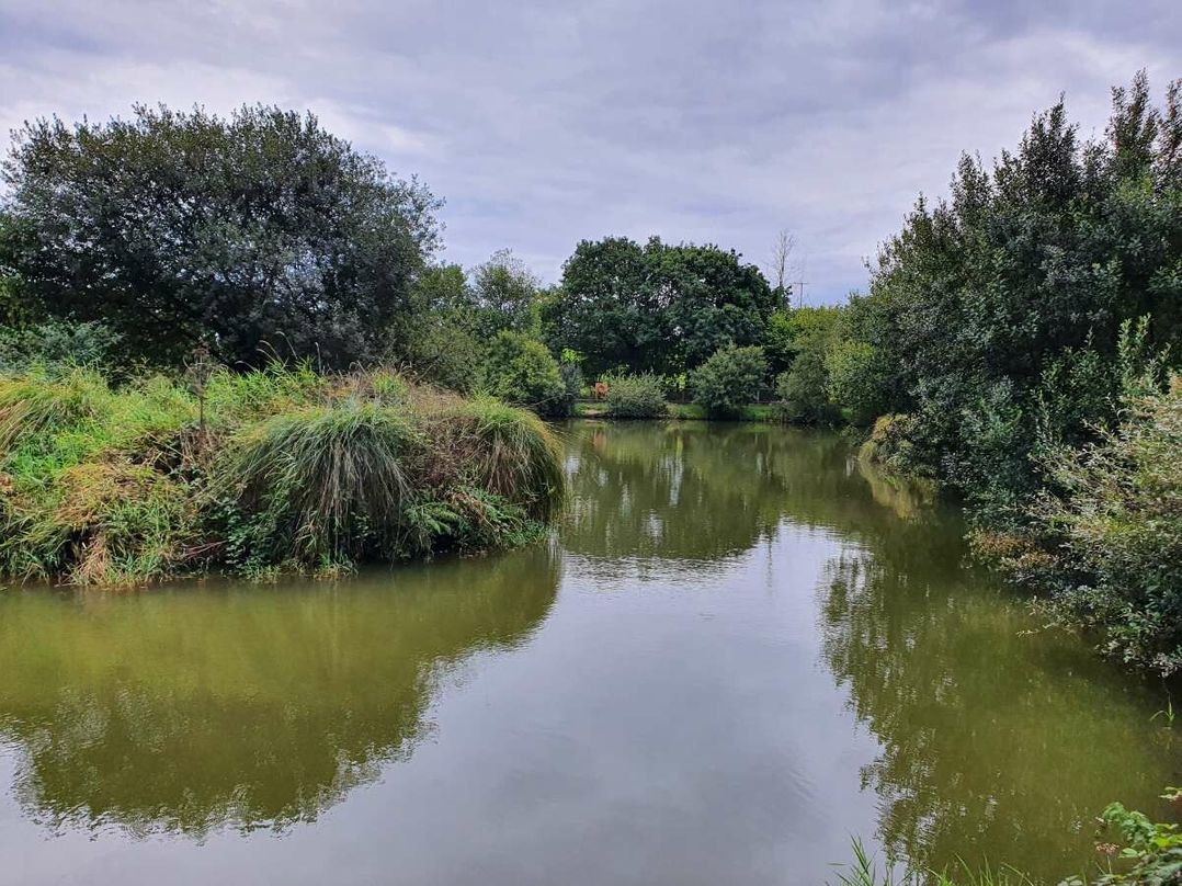 Meadow Lakes Holiday Park - Holiday Accommodation 15527