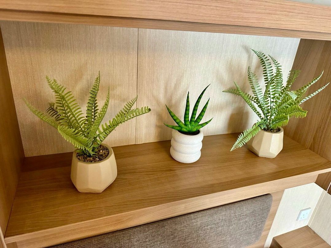 Marton Mere Holiday Village - Holiday Accommodation 15602