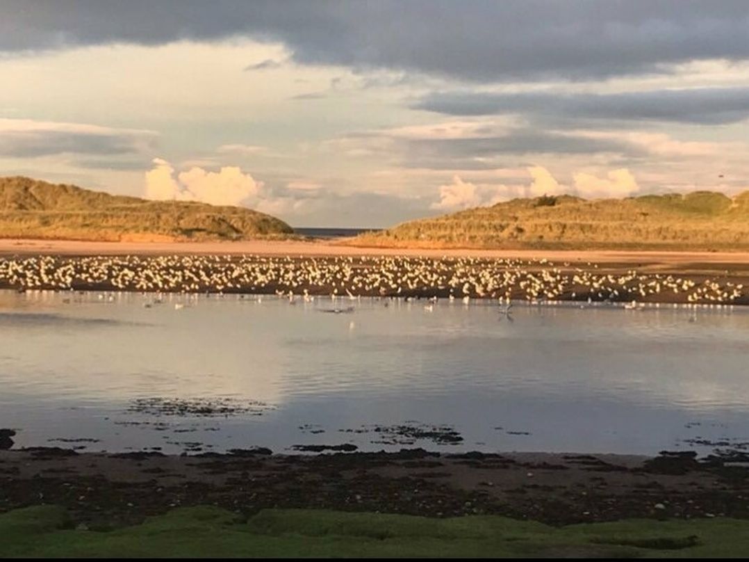 Lossiemouth Bay Caravan Park - Holiday Accommodation 15728