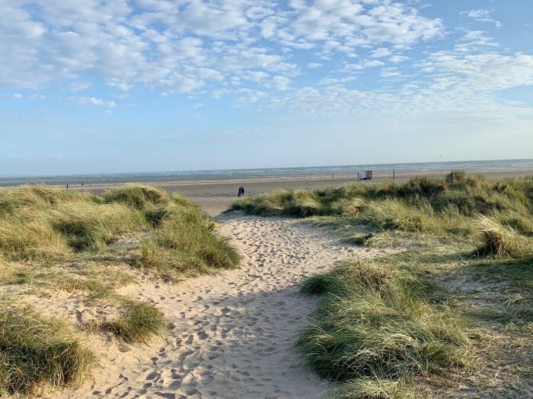 Greenacres Holiday Park - Holiday Accommodation 15761