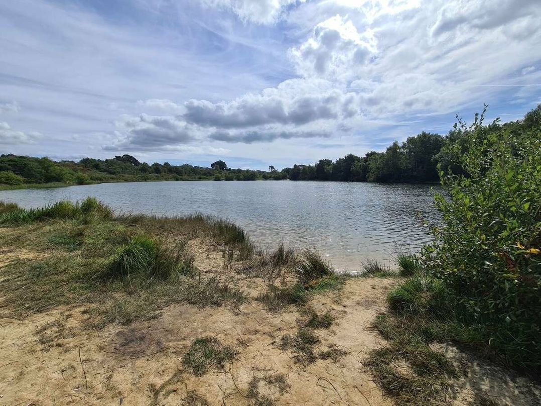 Rockley Park - Holiday Accommodation 15916