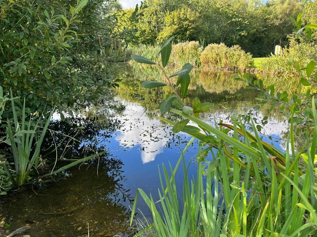 Hopton Holiday Village - Holiday Accommodation 16076