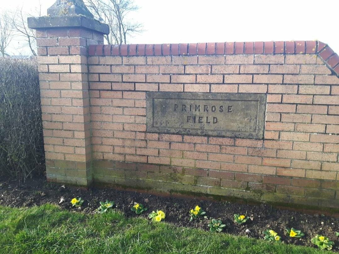 Primrose Valley Holiday Park - Holiday Accommodation 1612