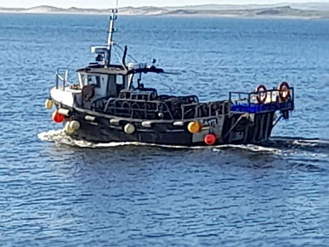 Berwick Holiday Park - Holiday Accommodation 16328