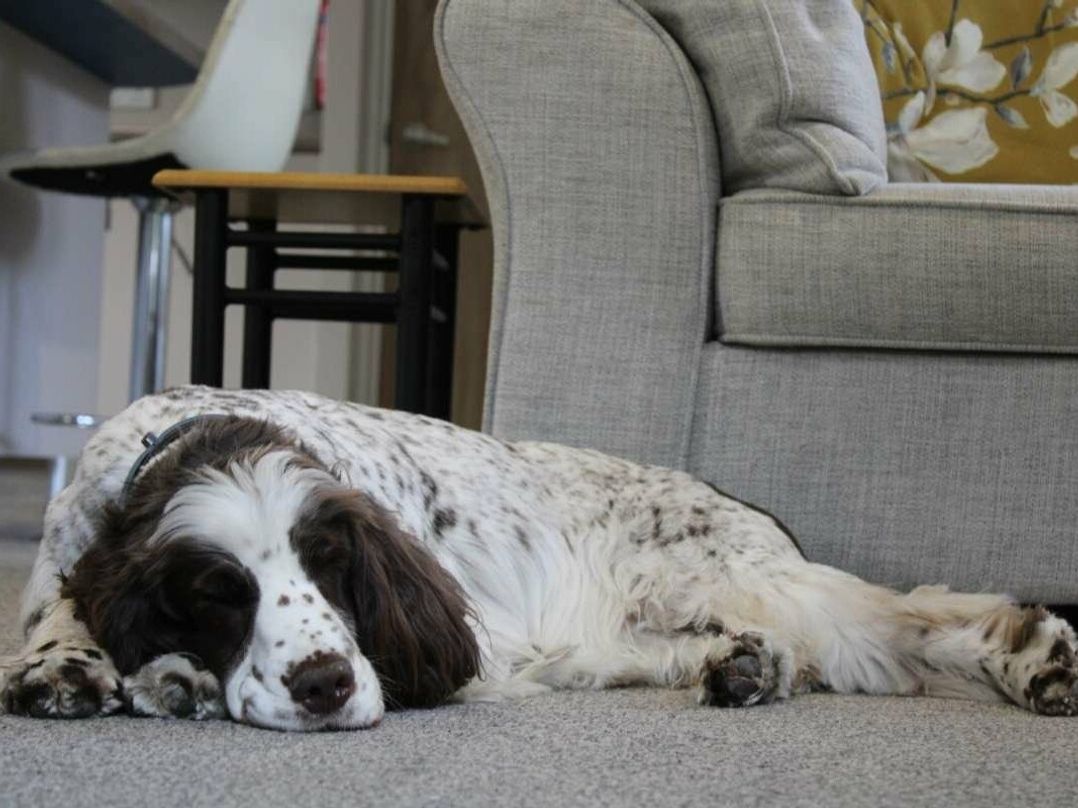 Carlton Meres Holiday Park - Holiday Accommodation 16968