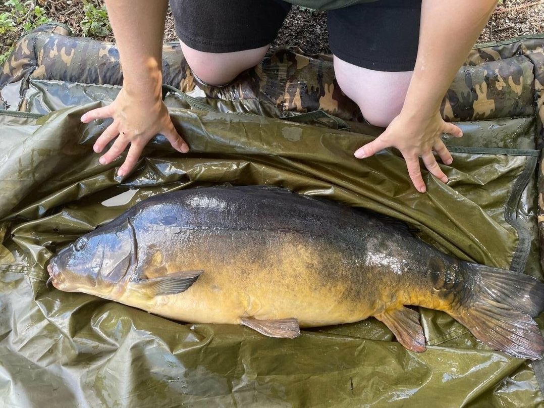 7 Lakes Country Park - Holiday Accommodation 17097