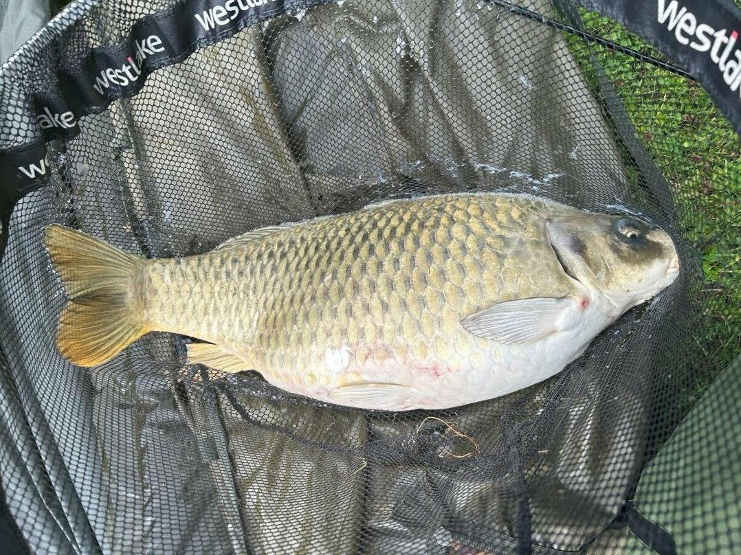 7 Lakes Country Park - Holiday Accommodation 17097