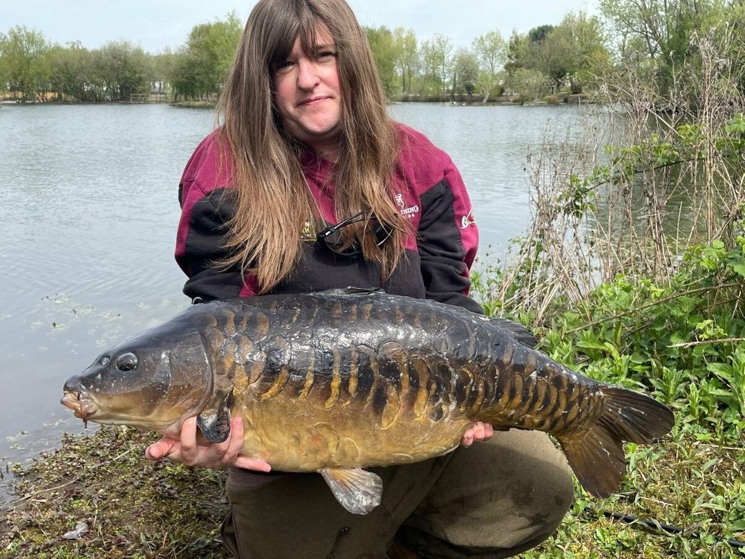 7 Lakes Country Park - Holiday Accommodation 17097