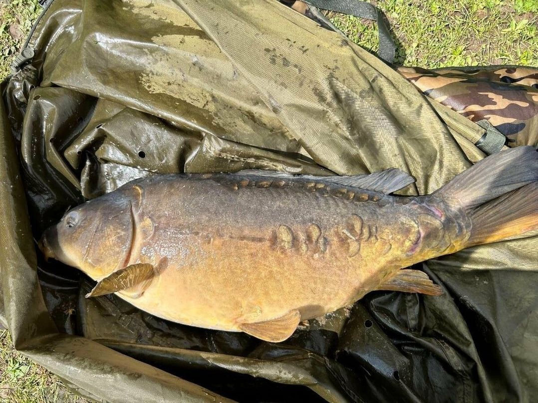 7 Lakes Country Park - Holiday Accommodation 17097