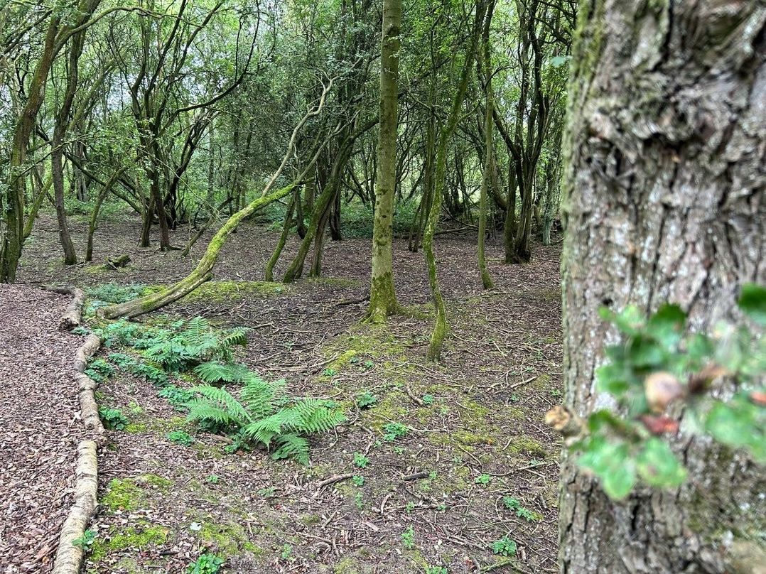 7 Lakes Country Park - Holiday Accommodation 17097