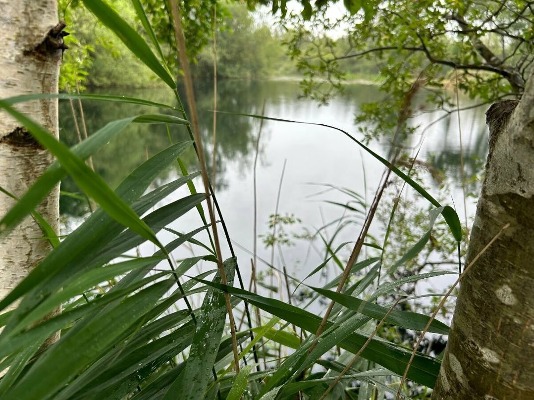 7 Lakes Country Park - Holiday Accommodation 17097