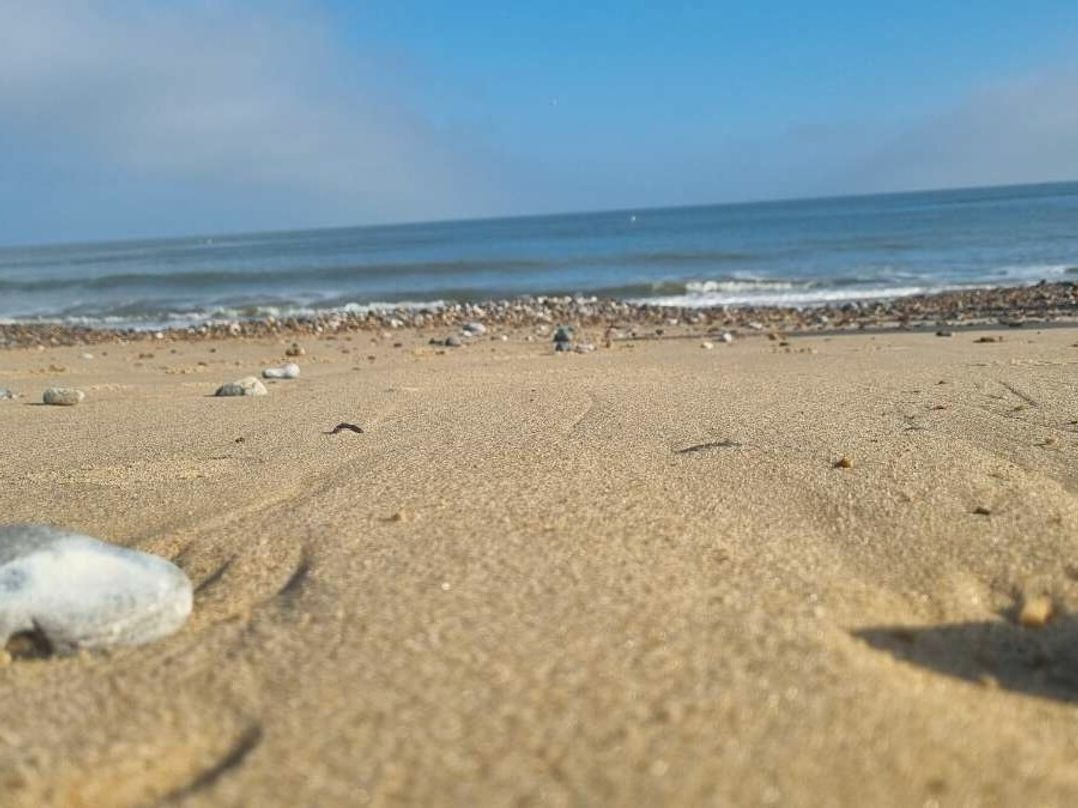 Caister Holiday Park - Holiday Accommodation 17607