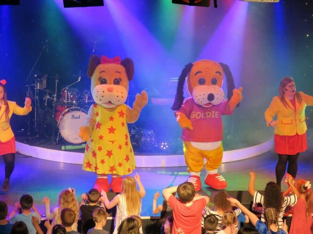 Golden Palm Resort - Holiday Accommodation 17651