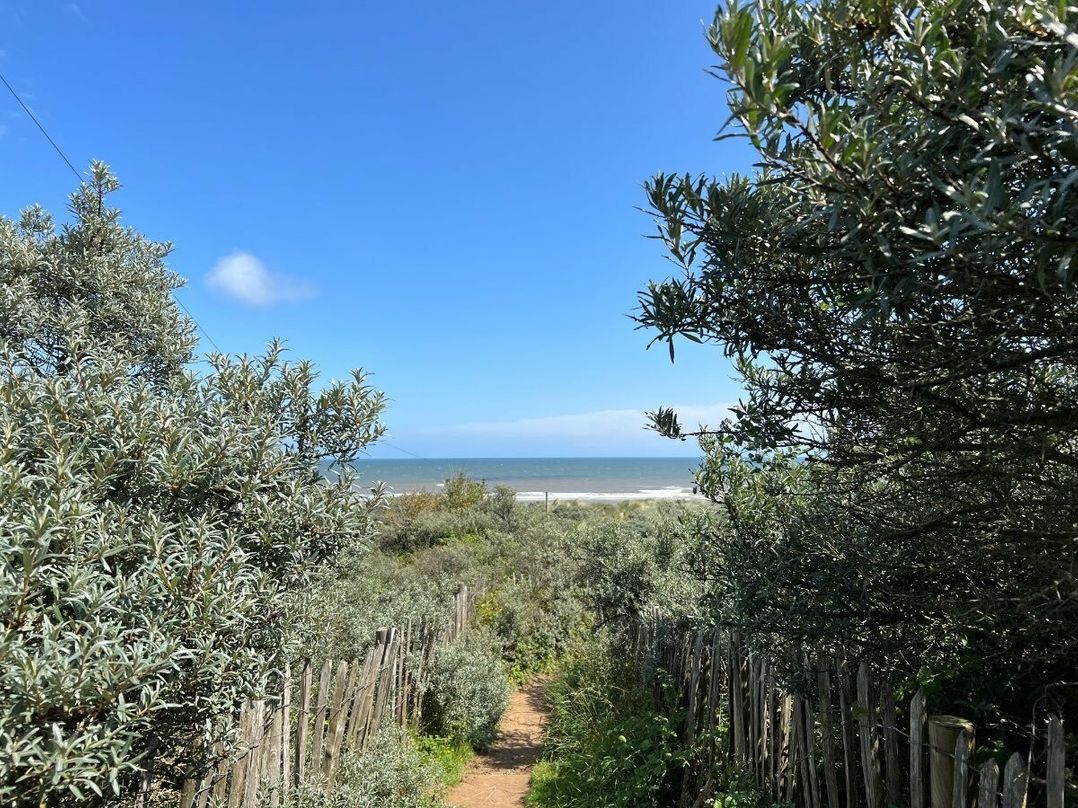 Golden Sands - Holiday Accommodation 17710