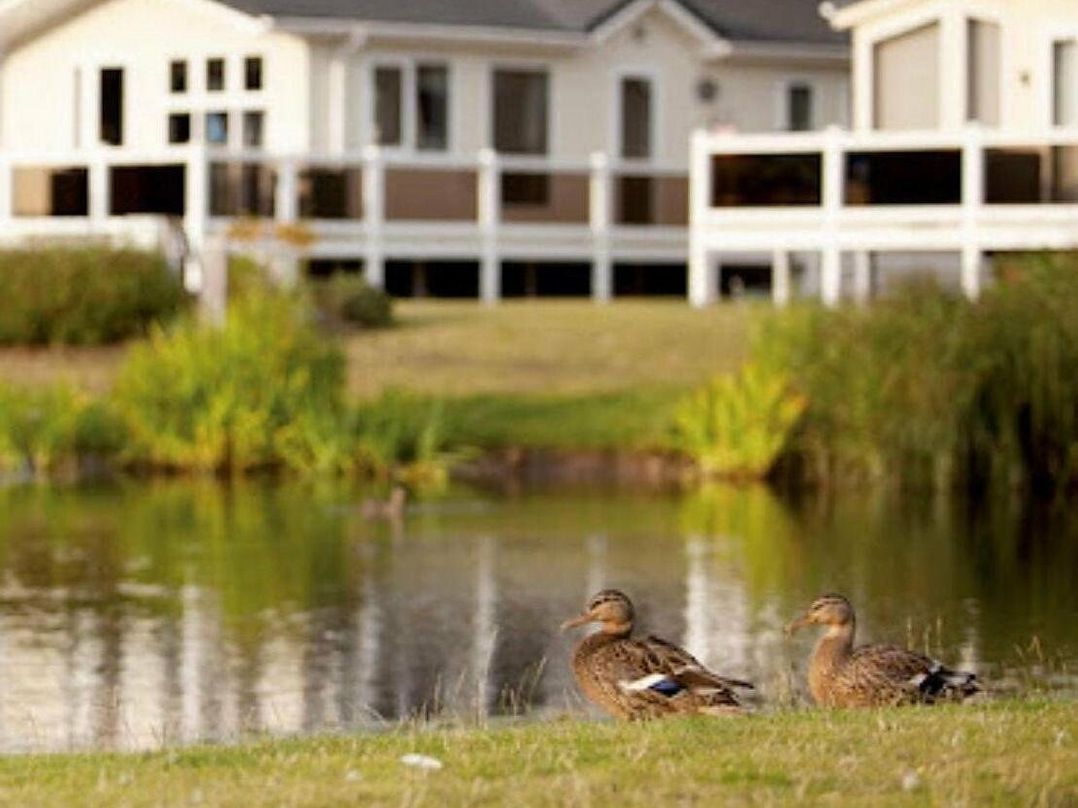 Wild Duck Holiday Park - Holiday Accommodation 17750