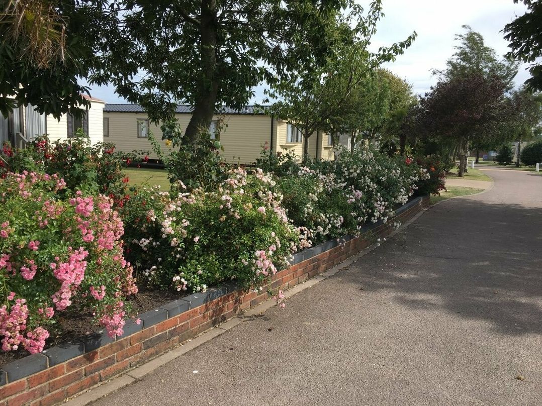 Green Farm Caravan Park - Holiday Accommodation 17809