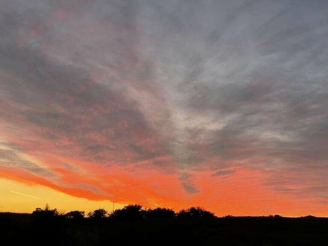 Bockenfield Country Park - Holiday Accommodation 18112