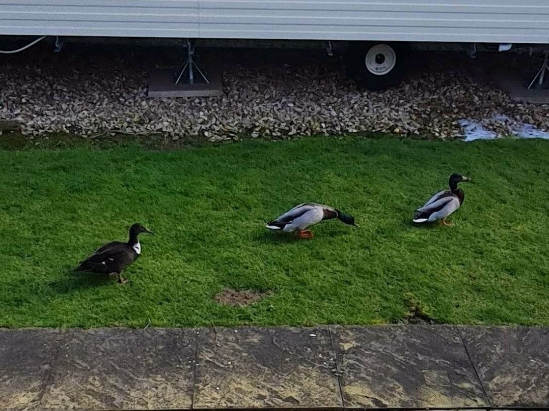 Butlins Skegness - Holiday Accommodation 18140