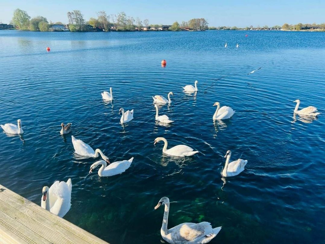 Tattershall Lakes Country Park - Holiday Accommodation 18151