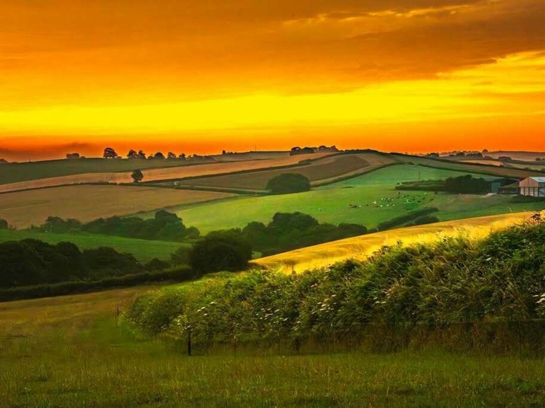 Butlins Minehead - Holiday Accommodation 18334