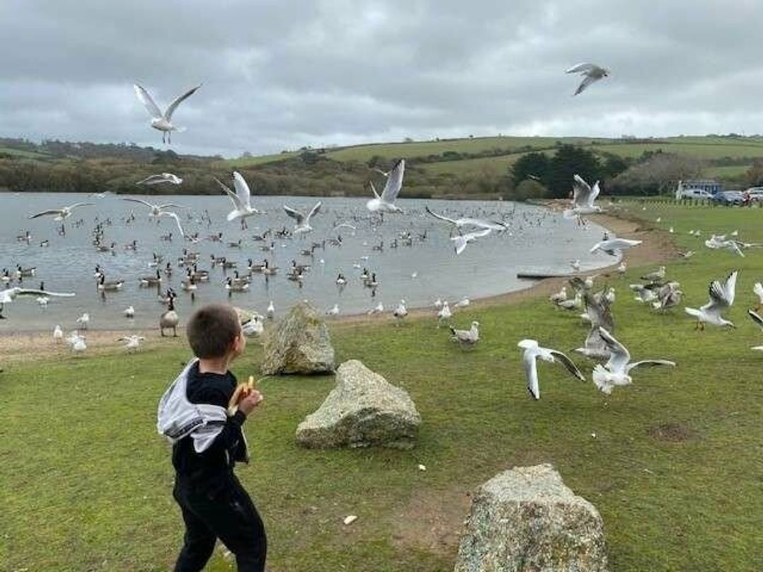 Par Sands Holiday Park - Holiday Accommodation 18484