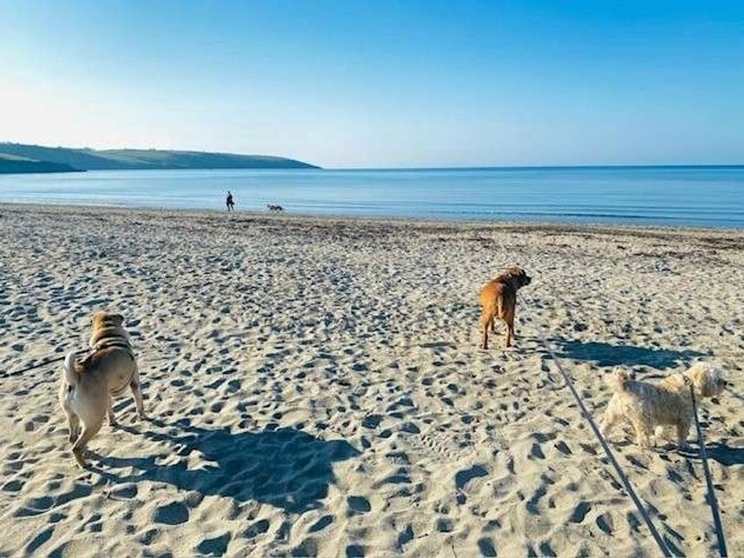 Par Sands Holiday Park - Holiday Accommodation 18484