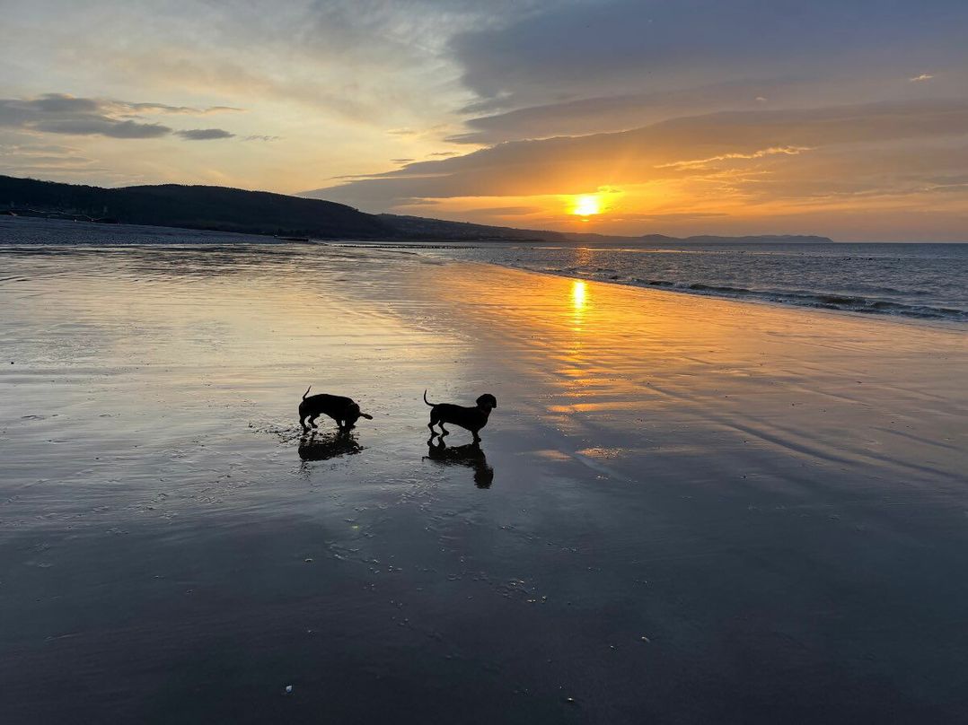 The Beach Caravan Park - Holiday Accommodation 18496