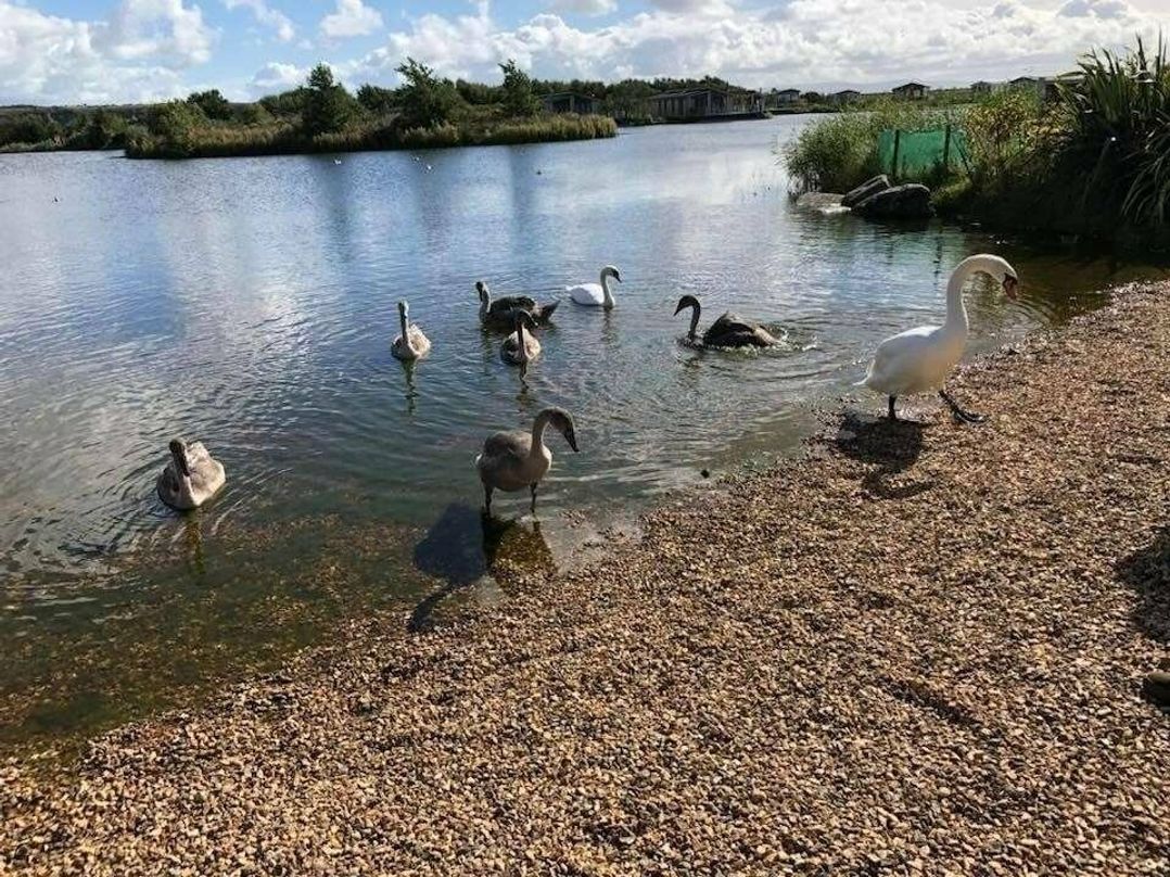 Lakeland Leisure Park - Holiday Accommodation 18641