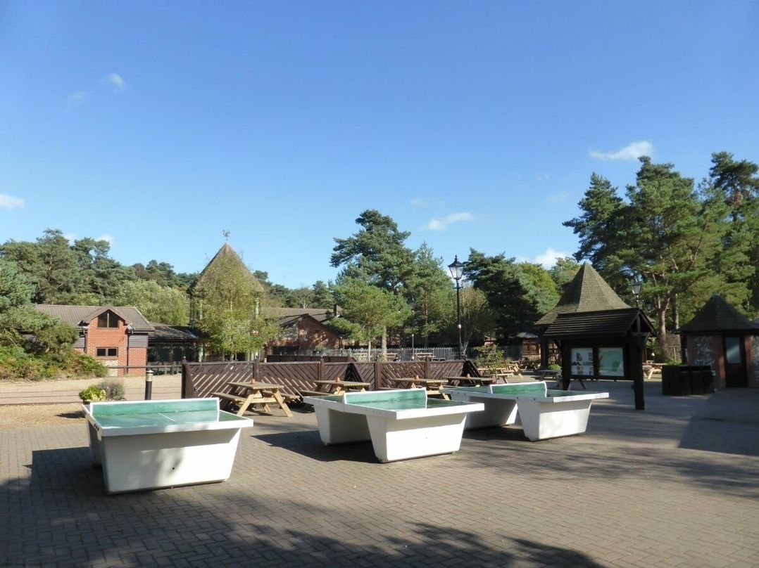 Kelling Heath Holiday Park - Holiday Accommodation 18705