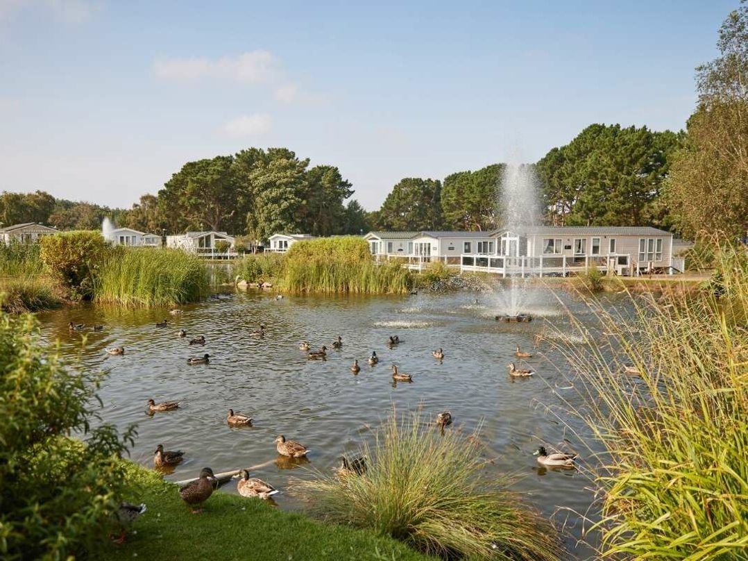 Wild Duck Holiday Park - Holiday Accommodation 18828