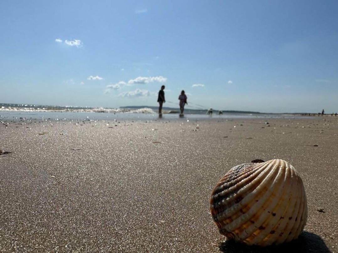 Camber Sands Holiday Park - Holiday Accommodation 18879
