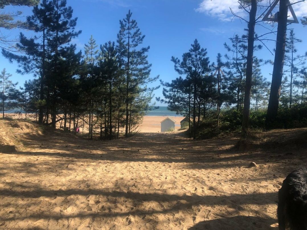 Pinewoods Holiday Park - Holiday Accommodation 18978