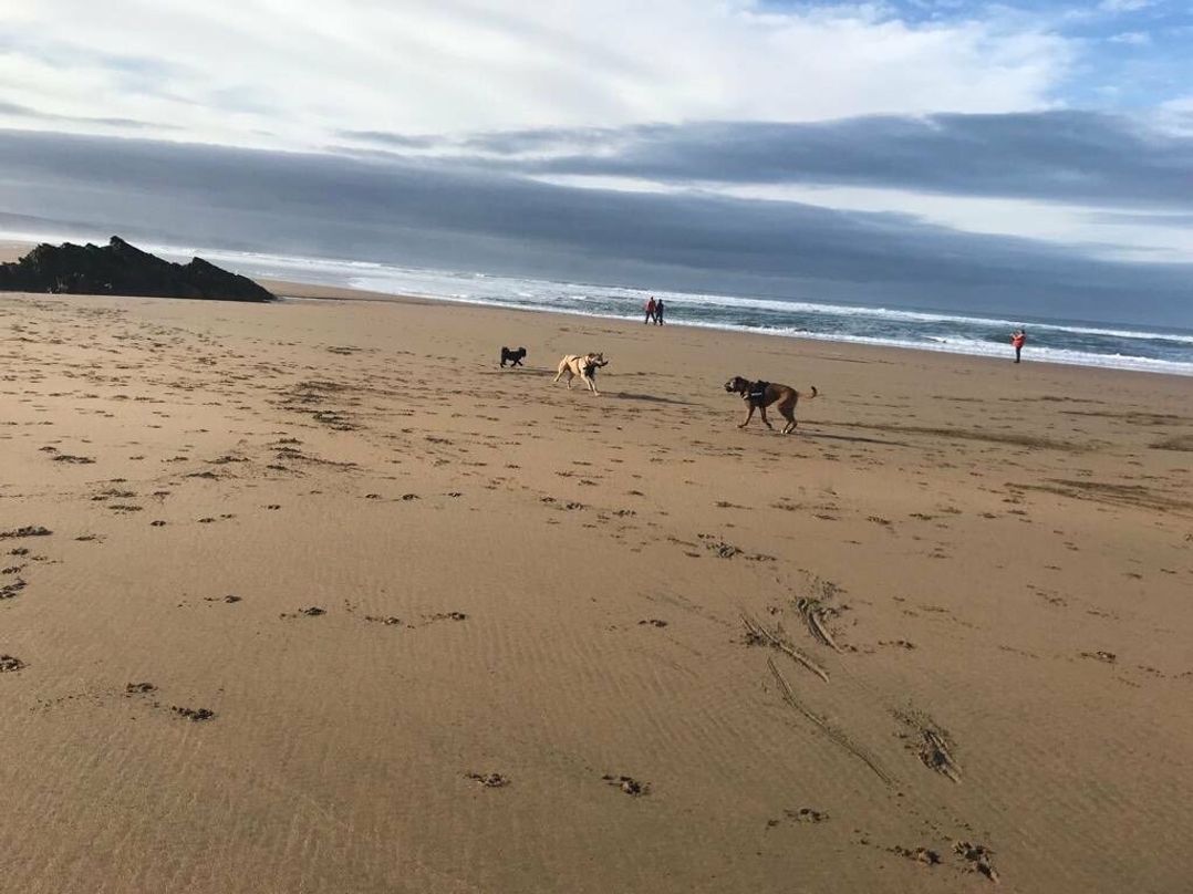 Bude Holiday Resort - Holiday Accommodation 18981