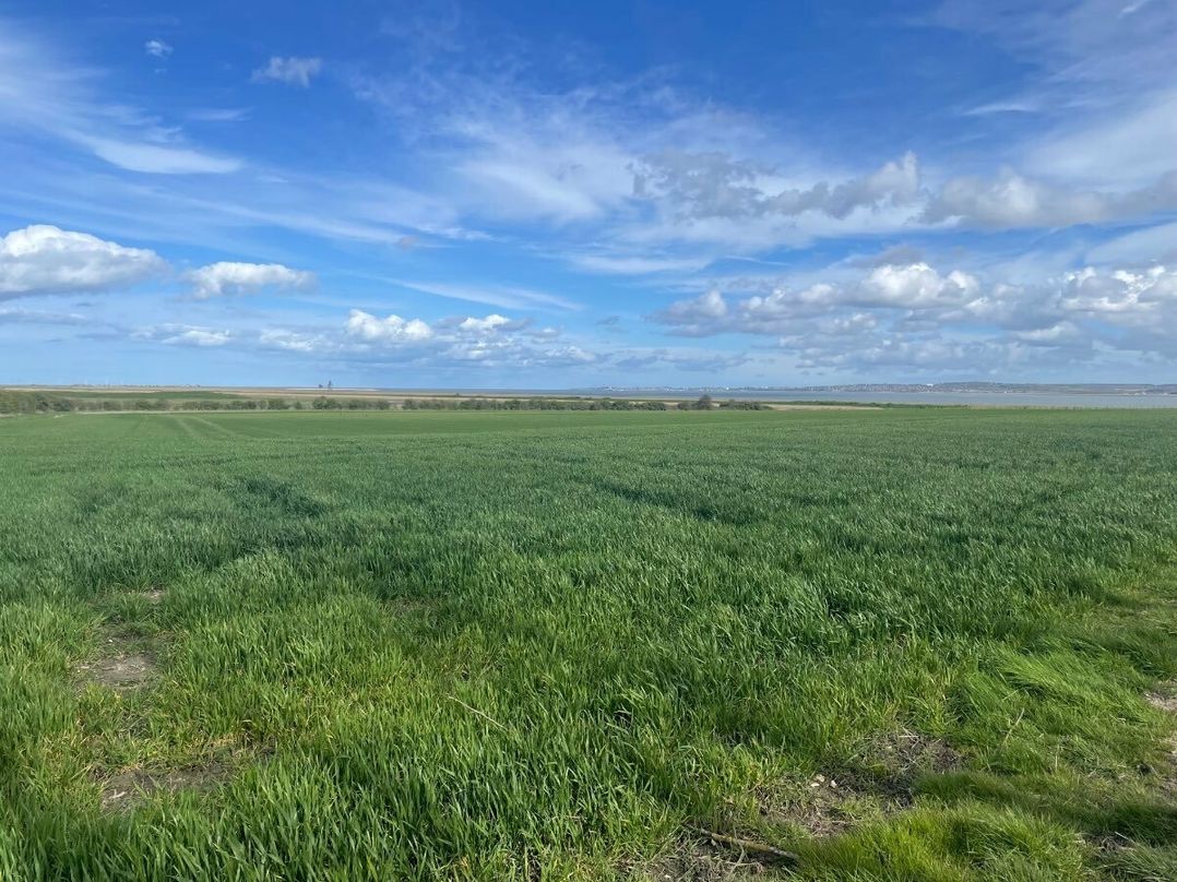 Ashcroft Coast Holiday Park - Holiday Accommodation 18990