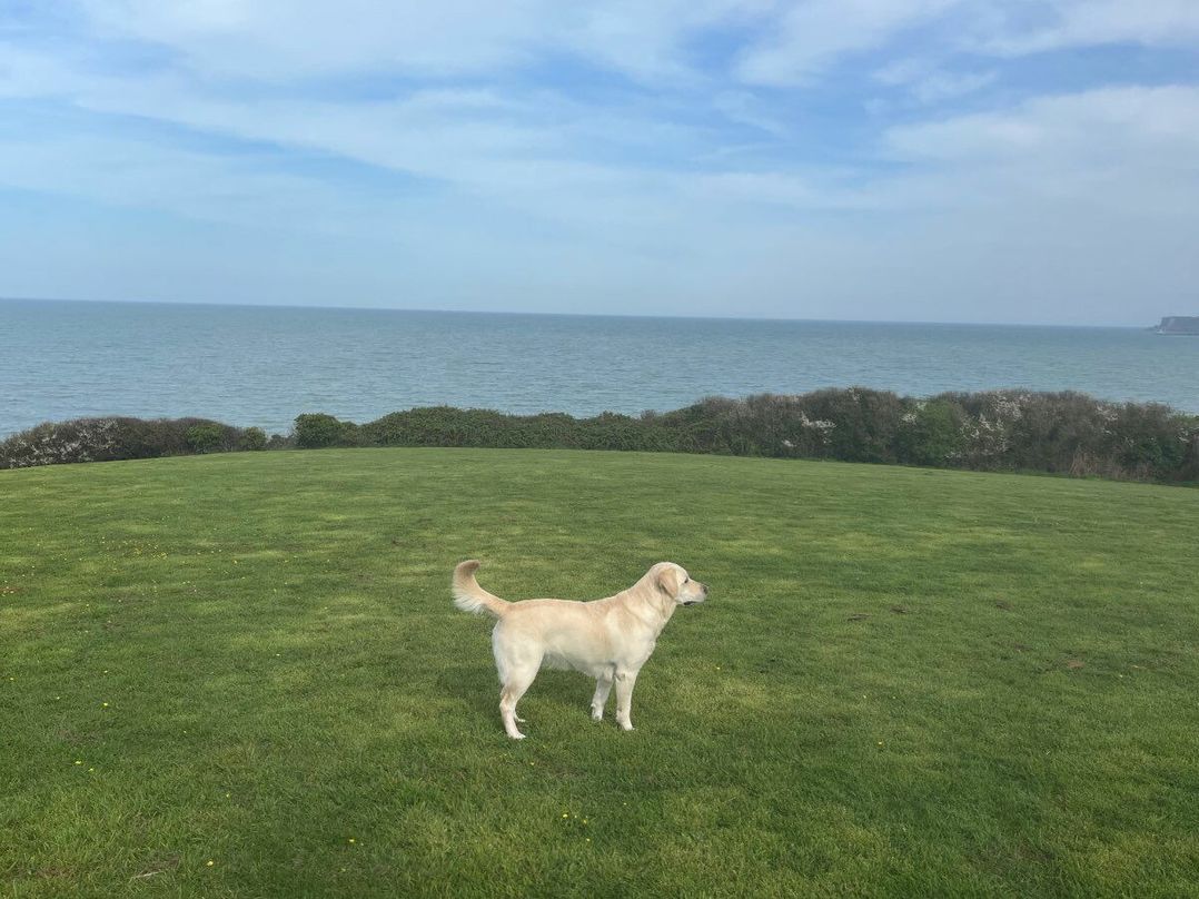 Waterside, Paignton - Holiday Accommodation 19143