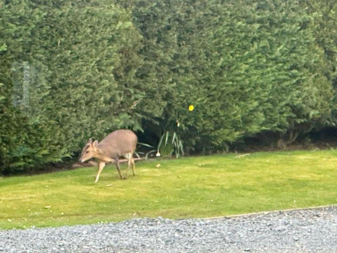 Malvern View Holiday Park - Holiday Accommodation 19153