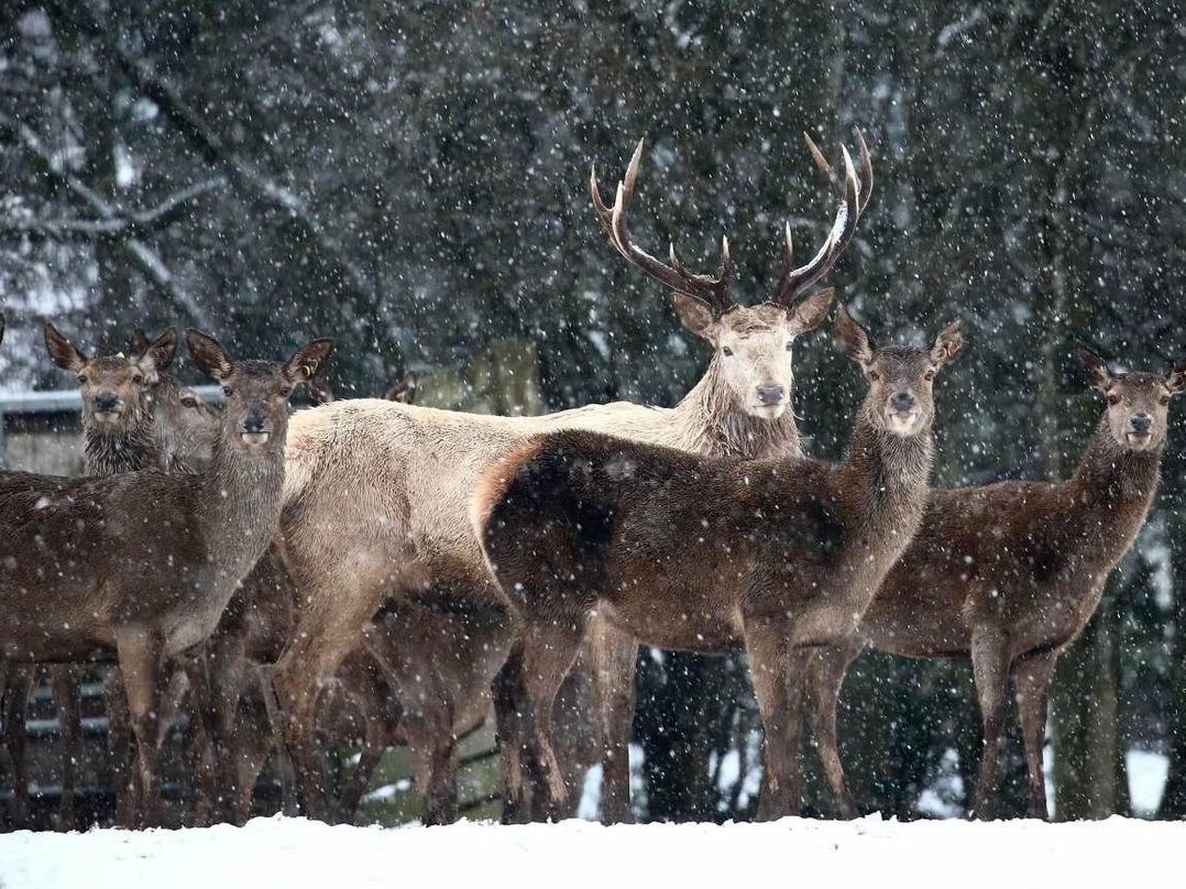 Malvern View Holiday Park - Holiday Accommodation 19153