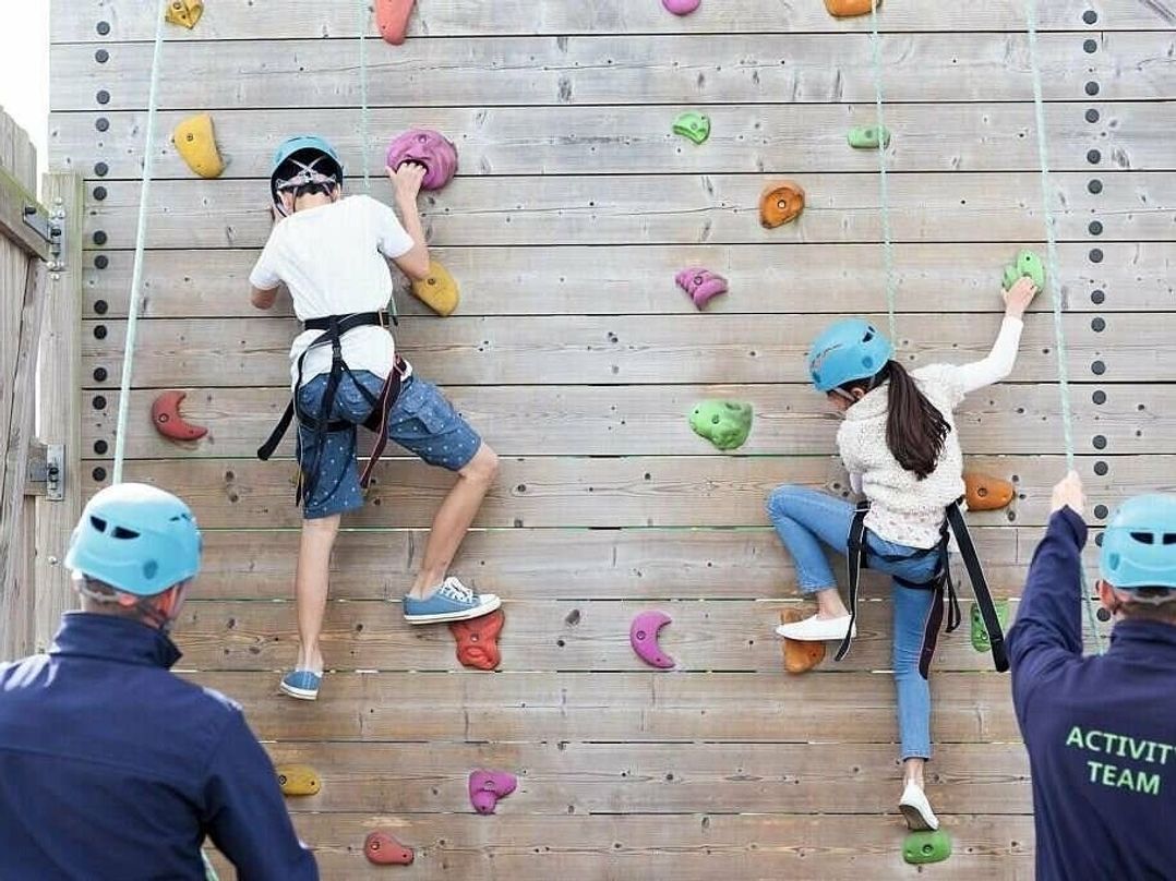 Rockley Park - Holiday Accommodation 19178