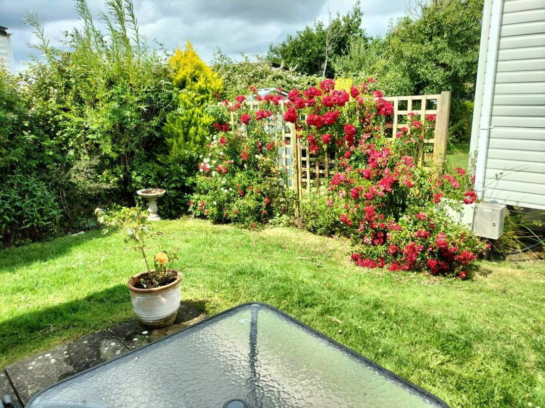 Durdle Door Holiday Park - Holiday Accommodation 19199