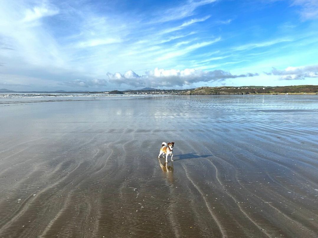 Greenacres Holiday Park - Holiday Accommodation 19297