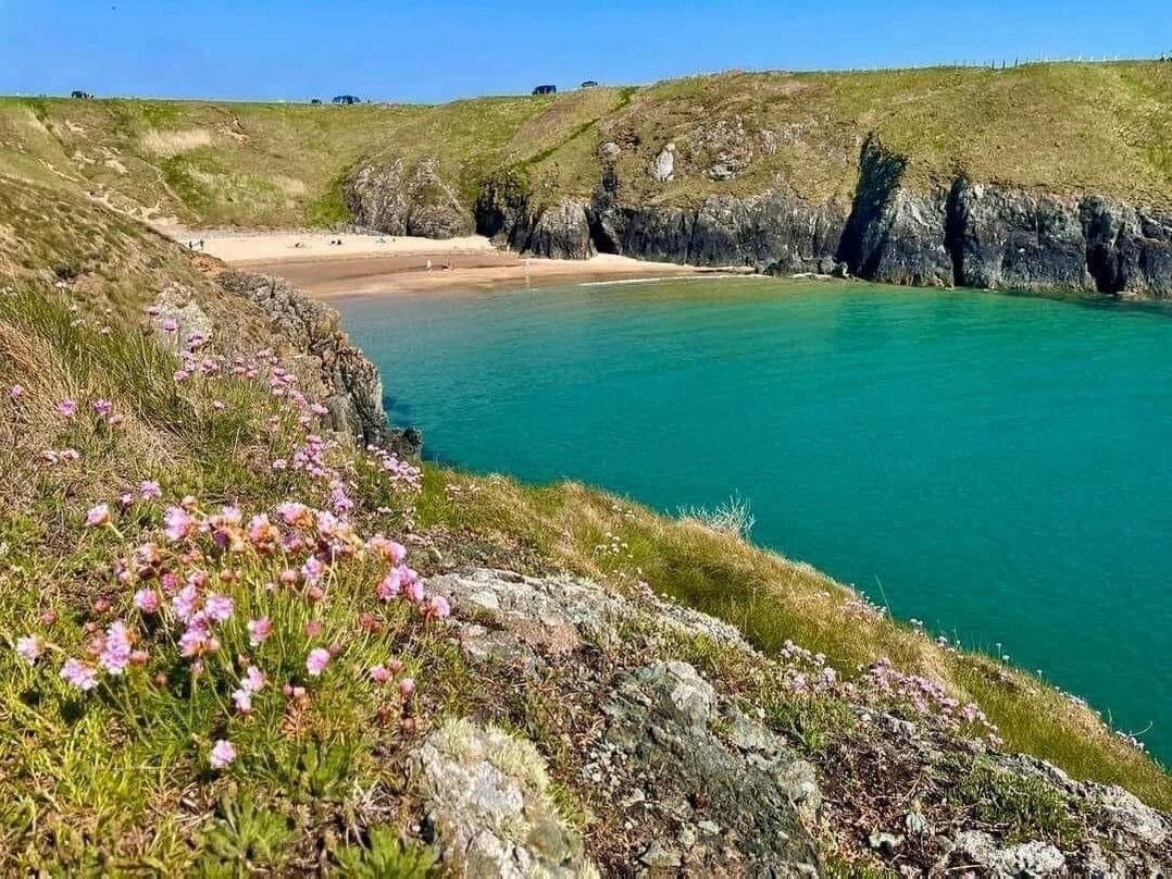 Hafan y Mor Haven - Holiday Accommodation 19472