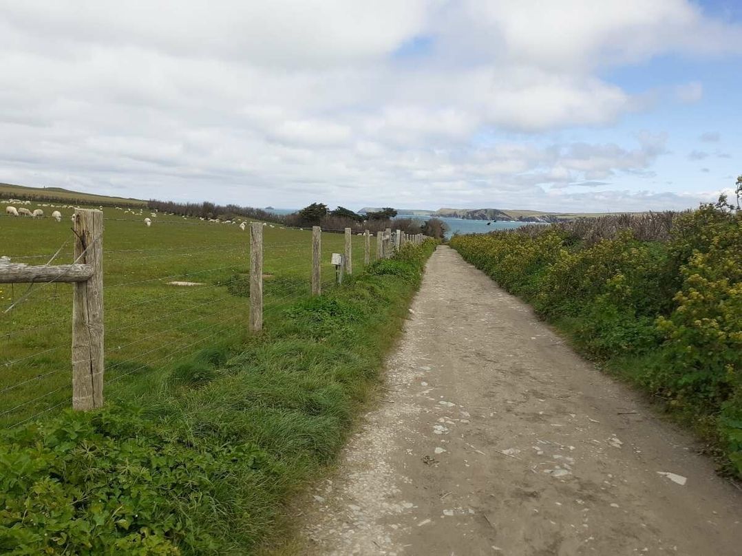 Harlyn Sands - Holiday Accommodation 19503