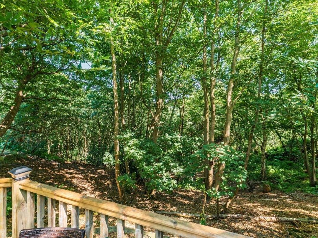 Kelling Heath Holiday Park - Holiday Accommodation 19668