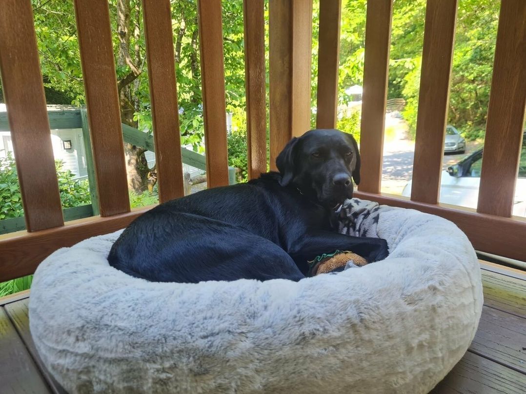 Aberdunant Hall Holiday Park - Holiday Accommodation 19672