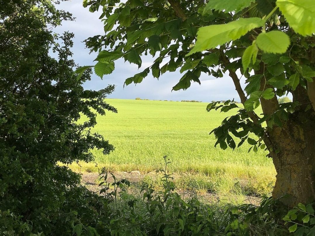 Cayton Bay Caravan Park - Holiday Accommodation 19731