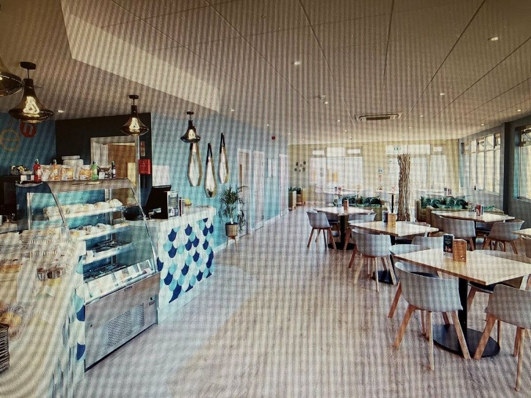 Hoburne Blue Anchor - Holiday Accommodation 19799